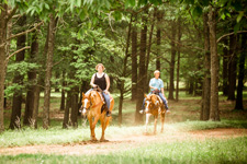 USA-Georgia-Heartland of Georgia SC Ranch